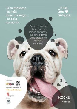 ‘Más que mascotas’. Tenencia responsable de animales de compañía