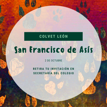 Jornada de confraternidad: San Francisco de Asís