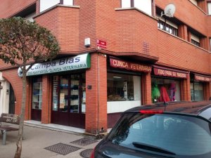 clinica-veterinaria-campa-blas-la-baneza