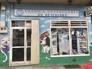 clinica-veterinaria-de-bembibre