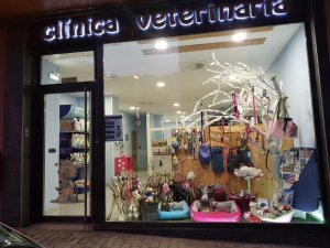 clinica-veterinaria-elena-alonso