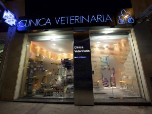 clinica-veterinaria-maria-j.-cabeza