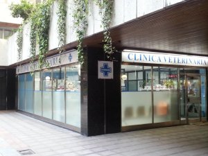 clinica-veterinaria-ricardo-diez-reyero