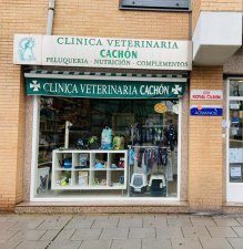 consultorio-veterinario-cachon