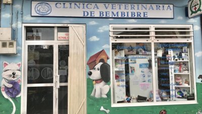 clinica-veterinaria-de-bembibre
