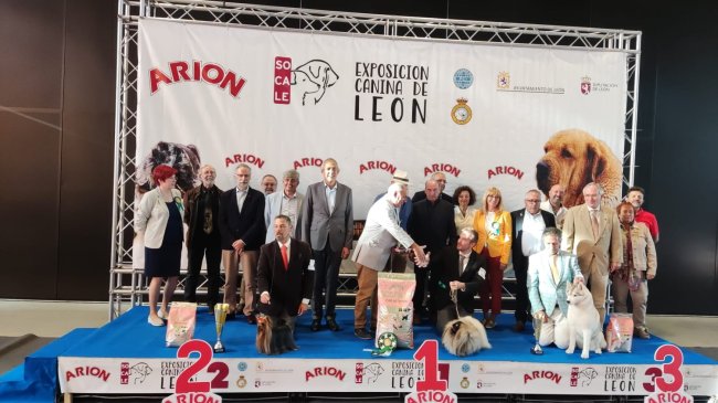 Cerca de 800 ejemplares en las exposiciones caninas de este fin de semana en León